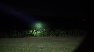 Noctigon KR1 W1 Beamshot comparison