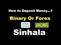 What is the Best Solution for Binary options / Forex ...