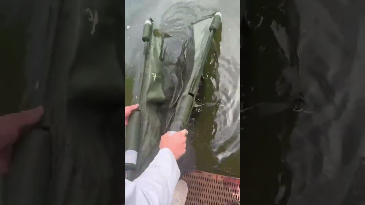 5th August 2025 ￼ beautiful comment cop