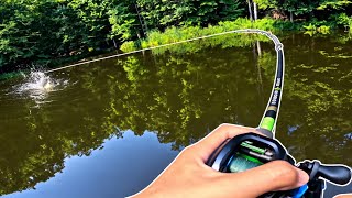 Can I Catch a MASSIVE Grass Carp Again?