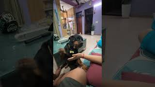 Roxy pyaar