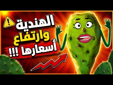 لابريكاد 36 - استنطاق الهندية بعد ارتفاع سعرها بسبب الشناقة