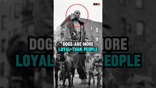 This is why DMX loves dogs so much 🥺❤️#shorts