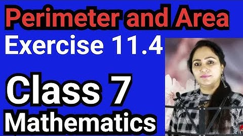 Class 7, Mathematics, Exercise 11.4, Perimeter and Area