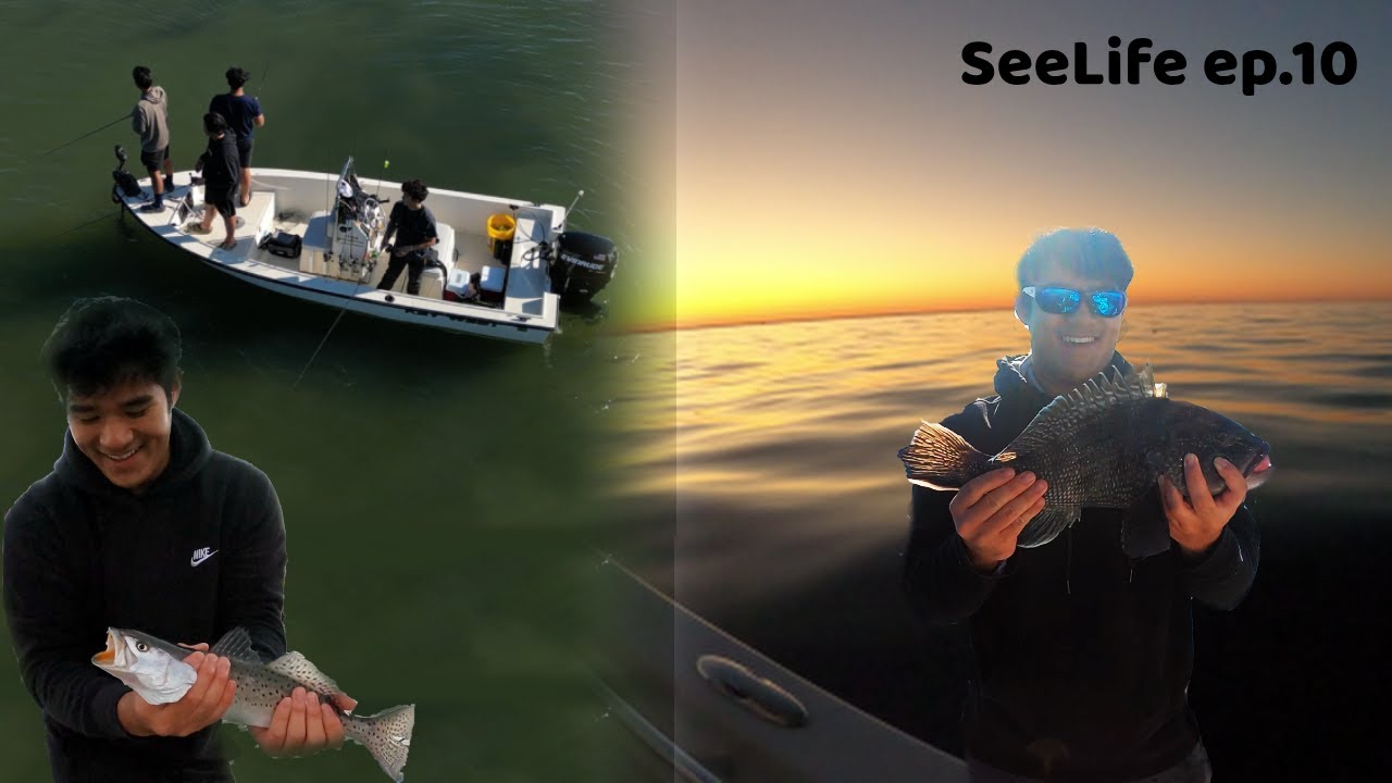Speckle Trout Fishing at Yorktown Catching Black Sea Bass Offshore