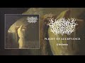 The mosaic window plight of acceptance full album stream