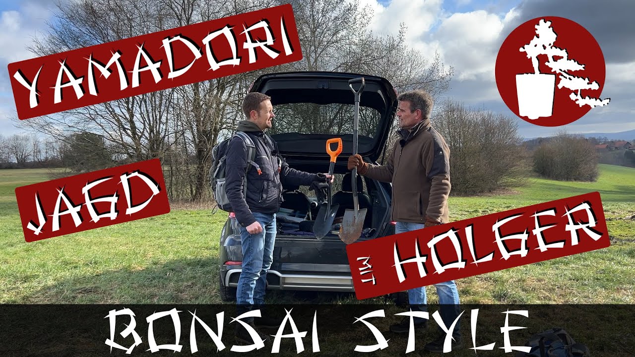 Yamadori Jagd mit Holger | Birke (Betula) und Rotbuche (Fagus sylvatica) | 