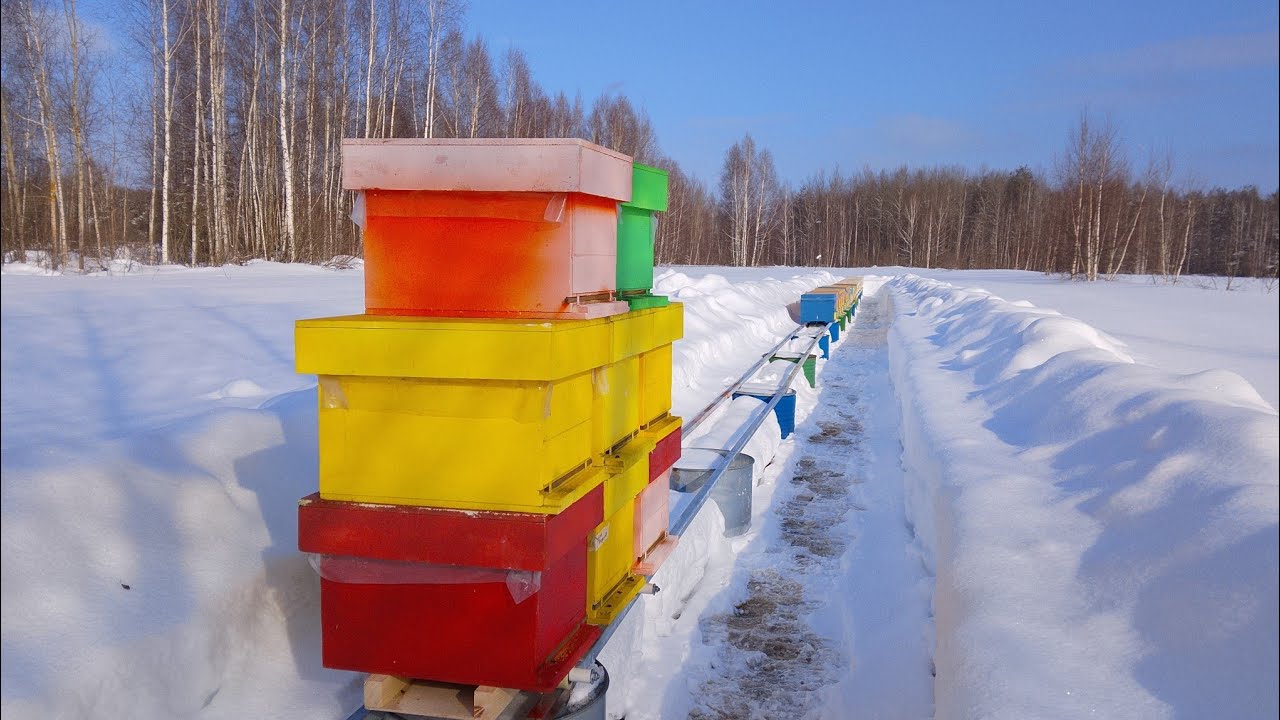 Так быстро я ещё пчёл не выставлял!!! Супер тележка для выставки пчёл!