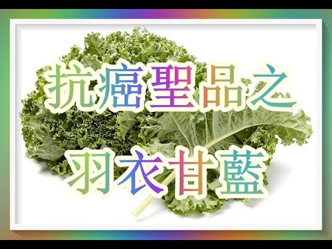 抗癌聖品之羽衣甘藍 Kale！（營養師分析）