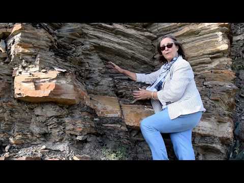 Video: Falla Geológica