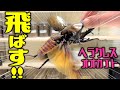 世界最大のカブトムシを飛ばせてみたら迫力がすごかった！（くろねこチャンネル）