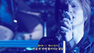잔다르크(Janne Da Arc) - 월광화(月光花) [가사/해석/lyrics/歌詞]
