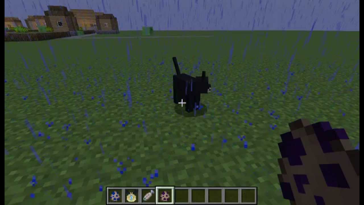 Como domesticar a un gato (Mo´ Creatures Mod) - YouTube