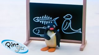 Pingu Enjoys Learning  | Pingu  Official Channel | Cartoons For Kids