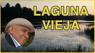 Laguna Vieja - Reynaldo Armas (letra) HD chords