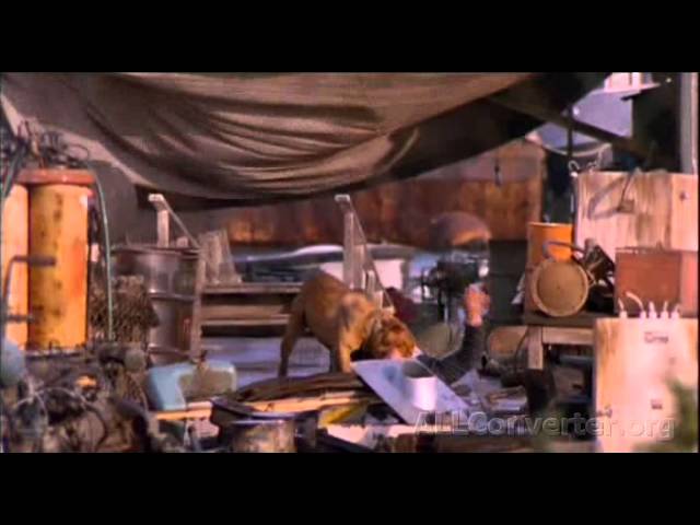 Turner & Hooch - Uma dupla quase perfeita