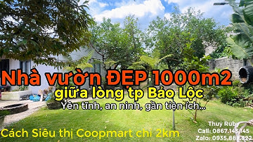 (458) Bán Căn nhà vườn nghĩ dưỡng tuyệt đẹp 1000m2, Lộc Tiến, Bảo Lộc, cách lõi trung tâm chỉ 2km