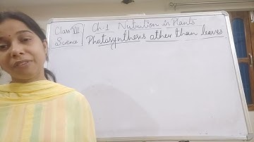 Class VII Science 08 04 2021 by Ms Mridulata Upadhyay Chapter 1 Nutrition in plants