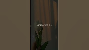 #قران_كريم #تلاوت #تلاوات #تلاوة_خاشعة #قرآن #ترتیل #quran #هزاع_البلوشي #ماهر_المعيقلي #اسلام_صبحي
