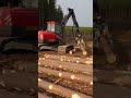 They Cut Down Everything for Concrete, Then Burned It All #climateaction #humanity