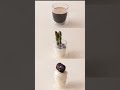 COCONUT ROUND BOWL 25CL video