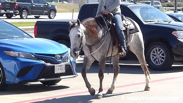 RVR Quakin Lil Cat - riding in town! - ValleyViewRanch.net