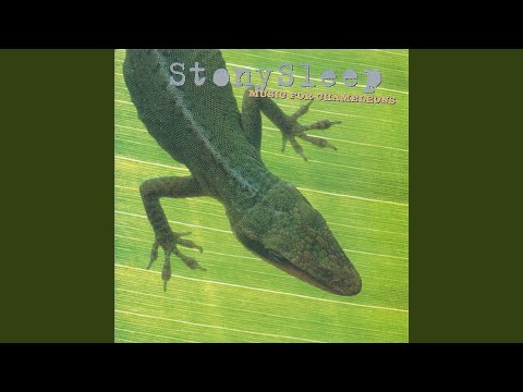Stony Sleep — I Feed Her Well