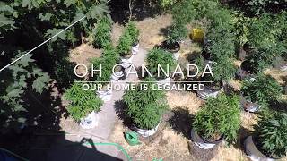 Home Grow S1 | E2