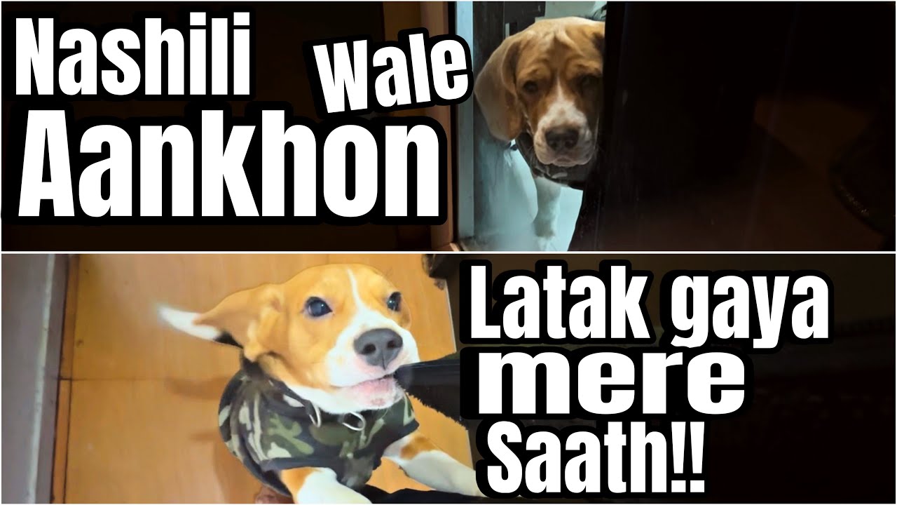 👀Nashili Aankho Wale || Latak Gaya Mere Saath #minivlog new #vlog #video #viral 