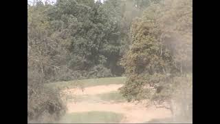 Video 34