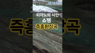 맑은 물처럼 아름다운 쇼팽의 즉흥환상곡.                      #shortsmusic #영화음악 #쇼츠음악 #아름다운자연 #영화ost