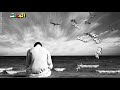 حالات واتس محمد النصري طير الغروب
