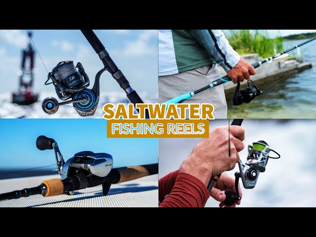 Best Saltwater Fishing Reels 