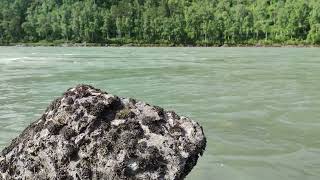 Камень, река. Шум воды. Стоковое видео. Футаж / Stone, river. Water noise. Stock video. Footage.