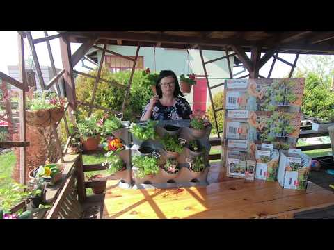 Wideo: Ogrodnictwo Wertykalne W Paryżu: Nowe Rozwiązanie