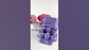 Eco-Friendly Packaging Revolution: 100% Recyclable Molded Pulp for Your Brand