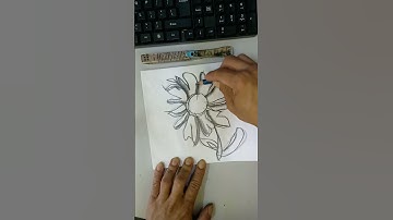 Sketching simple flower with weird funny looking bolder line #yiichy