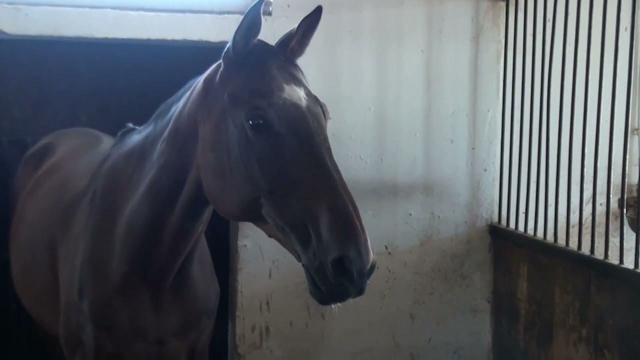 QR4ALL - Comuna Voinești, județul Iași