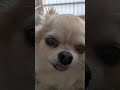 この動画最後まで見てね