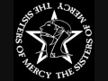 The sisters of mercy   this corrosion