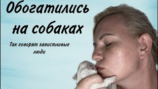Возвращение. Завистливые люди. Щенки бишон фризе. Простая жизнь. Заводчик собак. Жизнь в городе