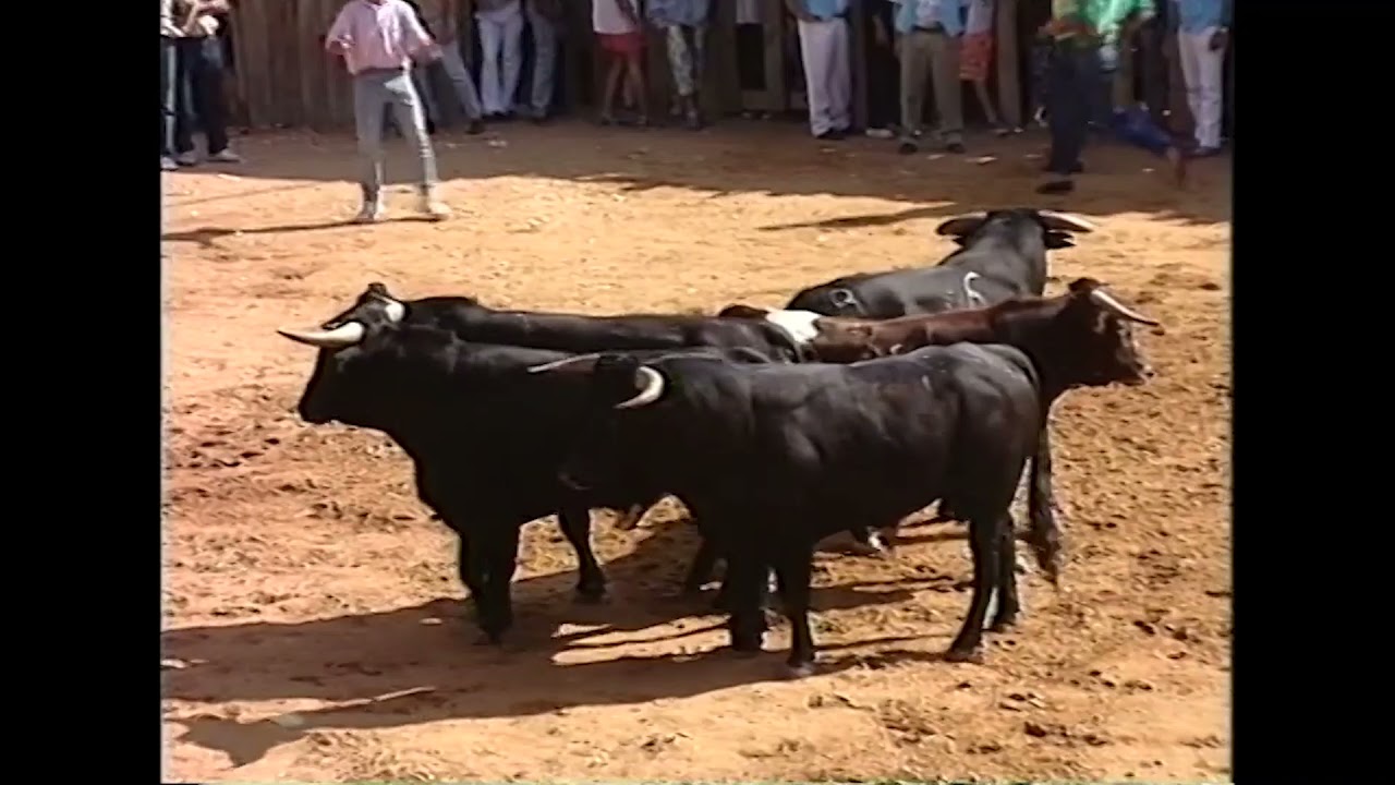 Encierros de Fermoselle (Zamora), 1989