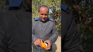 Mubashir saddique |New Vlogs| new recipe/first video