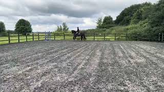 🥃 Jack Daniel’s 🥃 Flatwork & Jumping 🥃