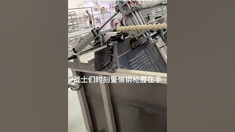 Full Automatic Plastic Hanger Flocking Machine