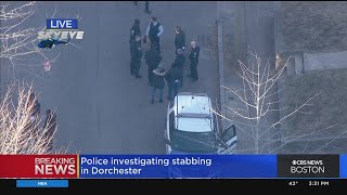 2 people stabbed in Dorchester