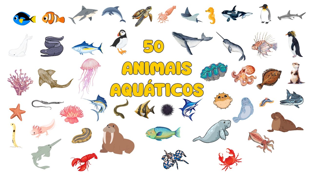 Descobrindo e aprendendo 50 ANIMAIS AQUÁTICOS