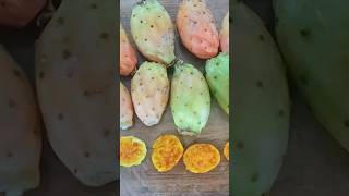 Cacti 🌵. Close-up of cactus fruits / Кактусы 🌵. Плоды, фрукты крупным планом +3 #cactusfruit #cactus