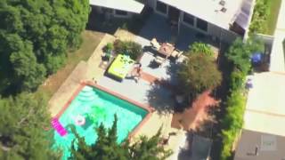 Bear cub crashes backyard pool party