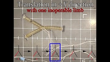 Model-free control framework for multi-limb soft robots